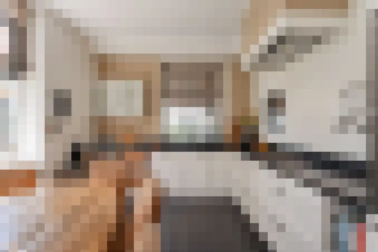 Kleinjansweg 1 Heino thumbnail 35