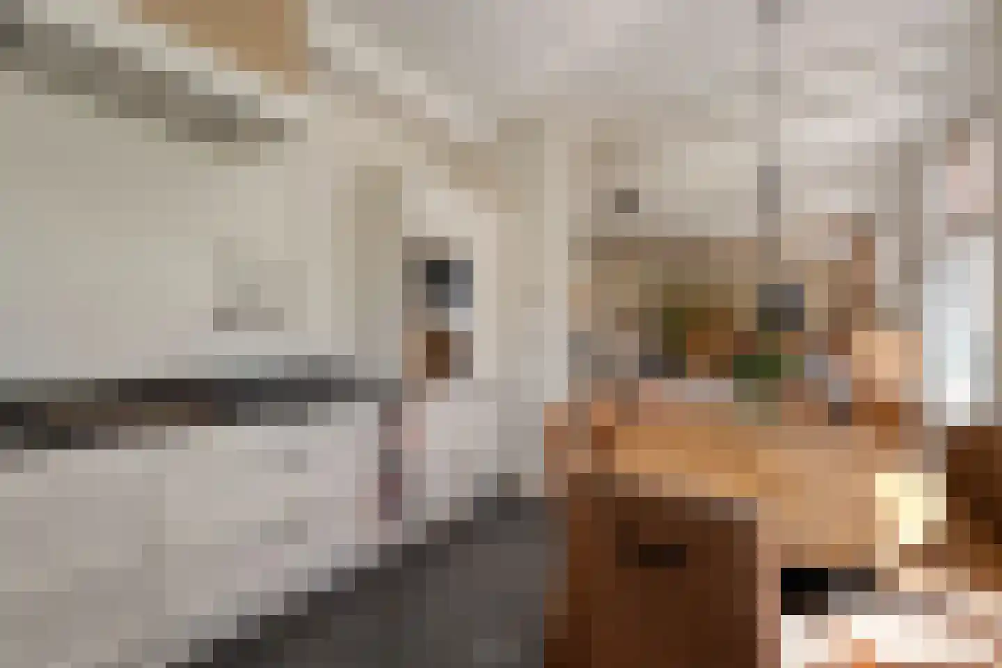 Kleinjansweg 1 Heino thumbnail 36