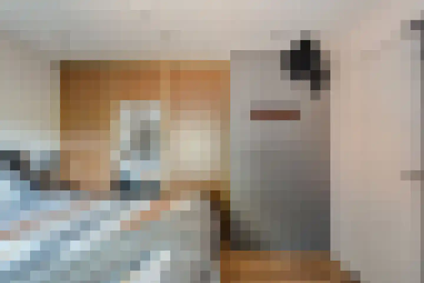 Kleinjansweg 1 Heino thumbnail 40