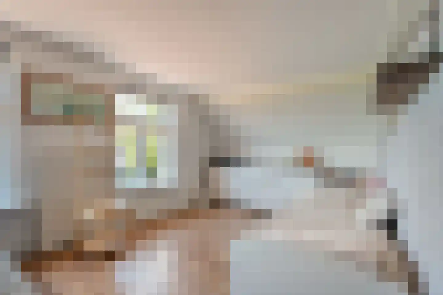 Kleinjansweg 1 Heino thumbnail 46