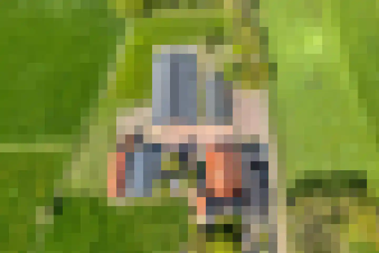 Kleinjansweg 1 Heino thumbnail 5