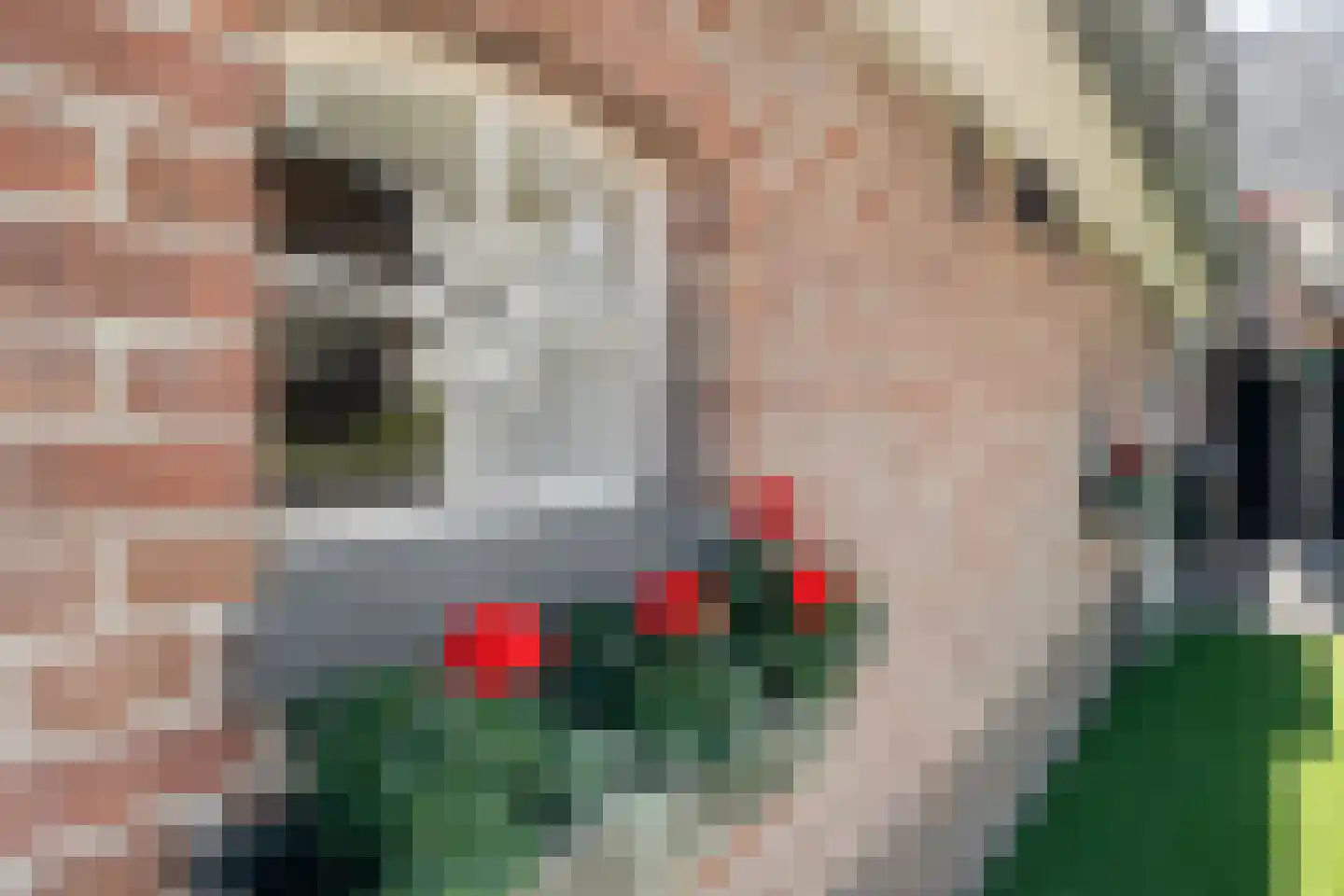 Kleinjansweg 1 Heino thumbnail 57