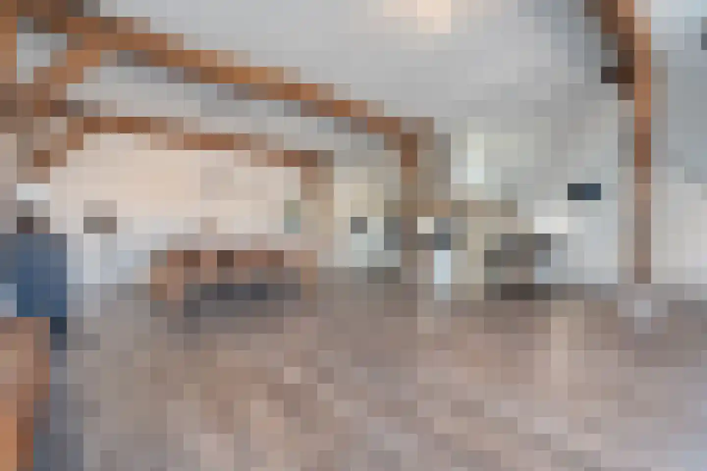 Kleinjansweg 1 Heino thumbnail 66