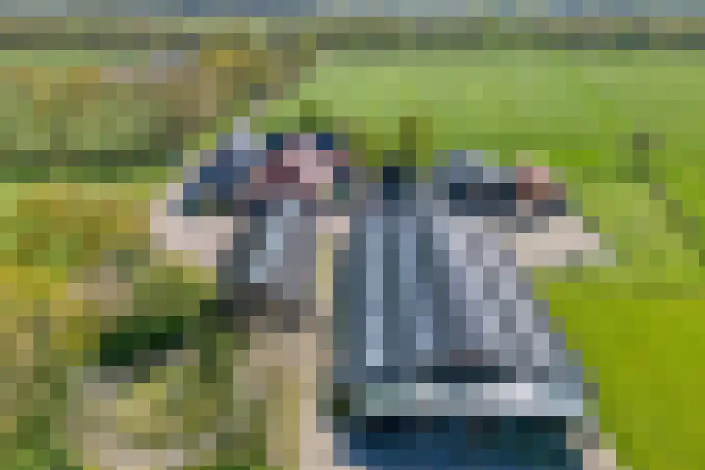 Kleinjansweg 1 Heino thumbnail 7