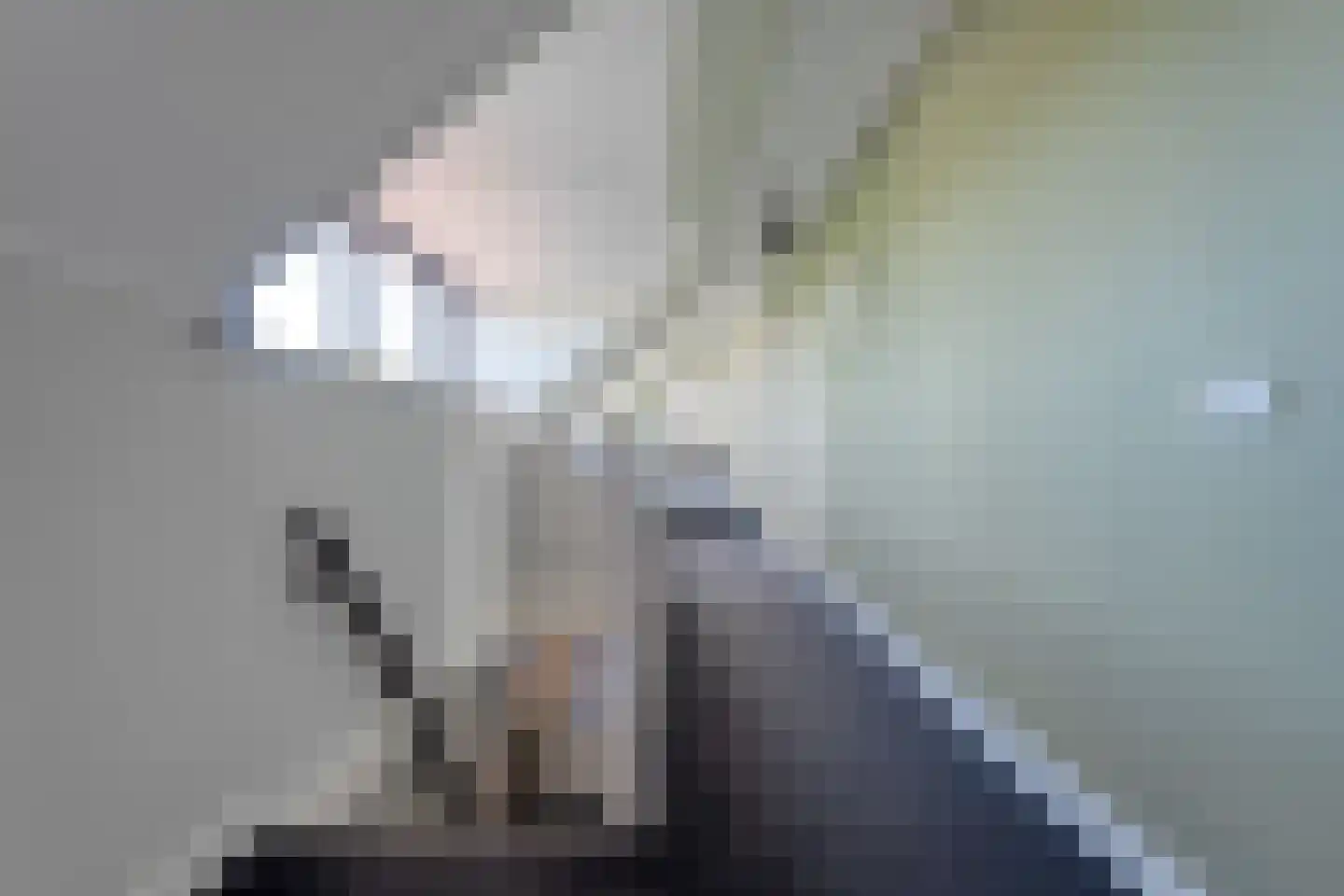 Kleinjansweg 1 Heino thumbnail 77