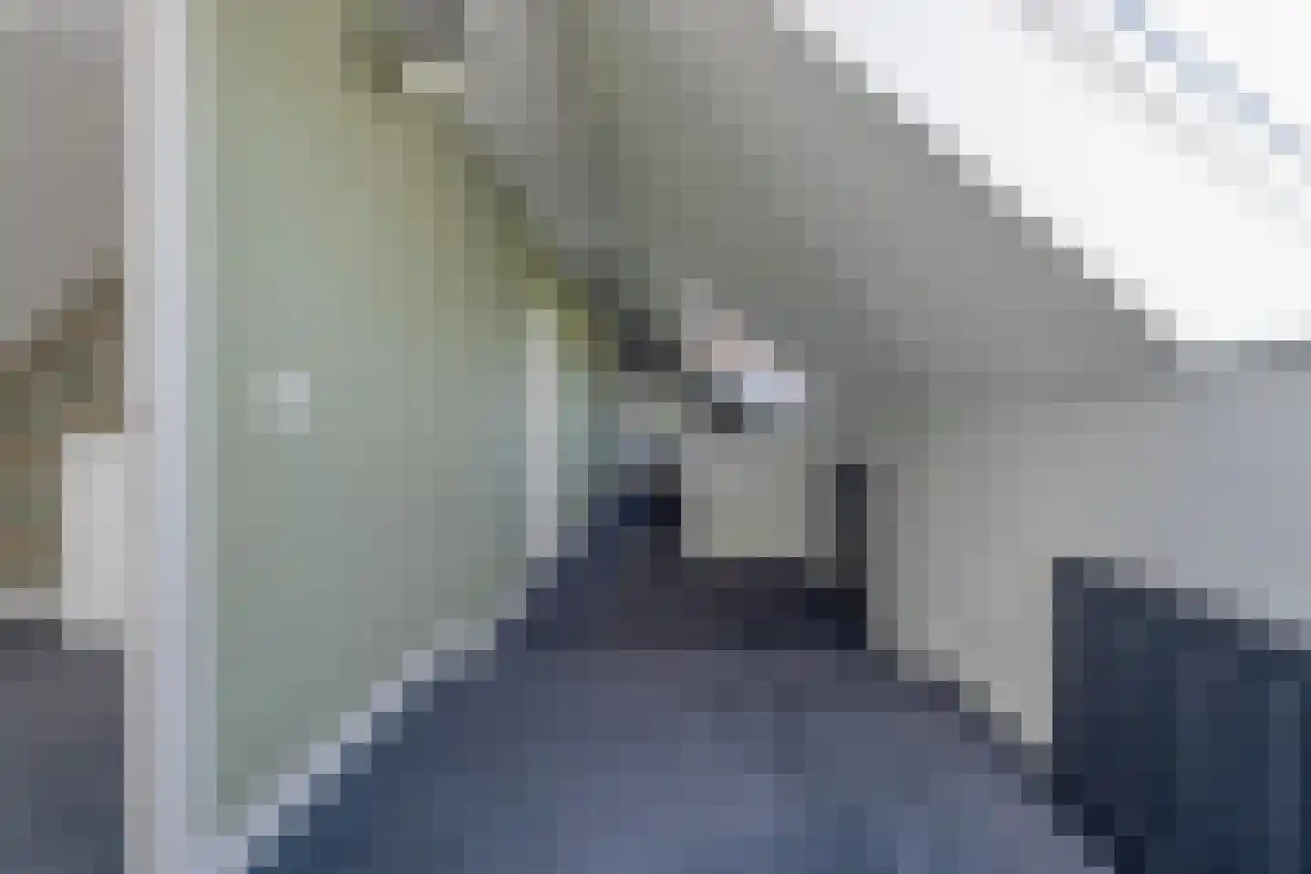 Kleinjansweg 1 Heino thumbnail 85