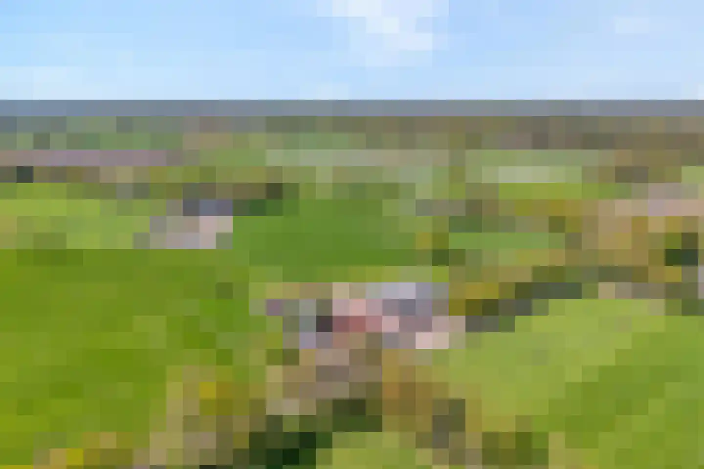 Kleinjansweg 1 Heino thumbnail 9