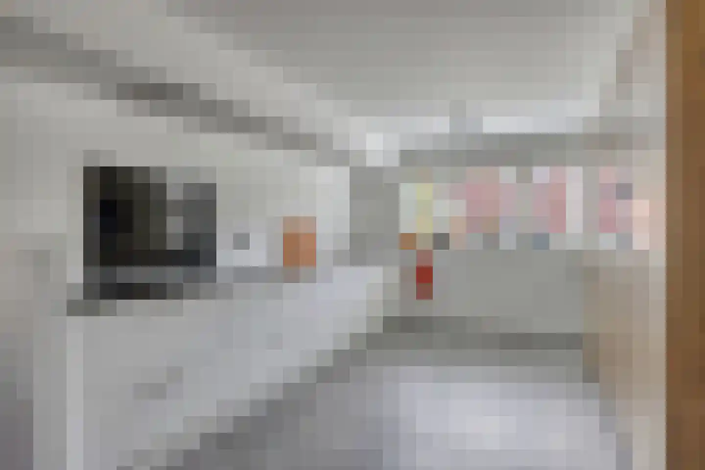 Kleinmansbeek 4 Barneveld thumbnail 14