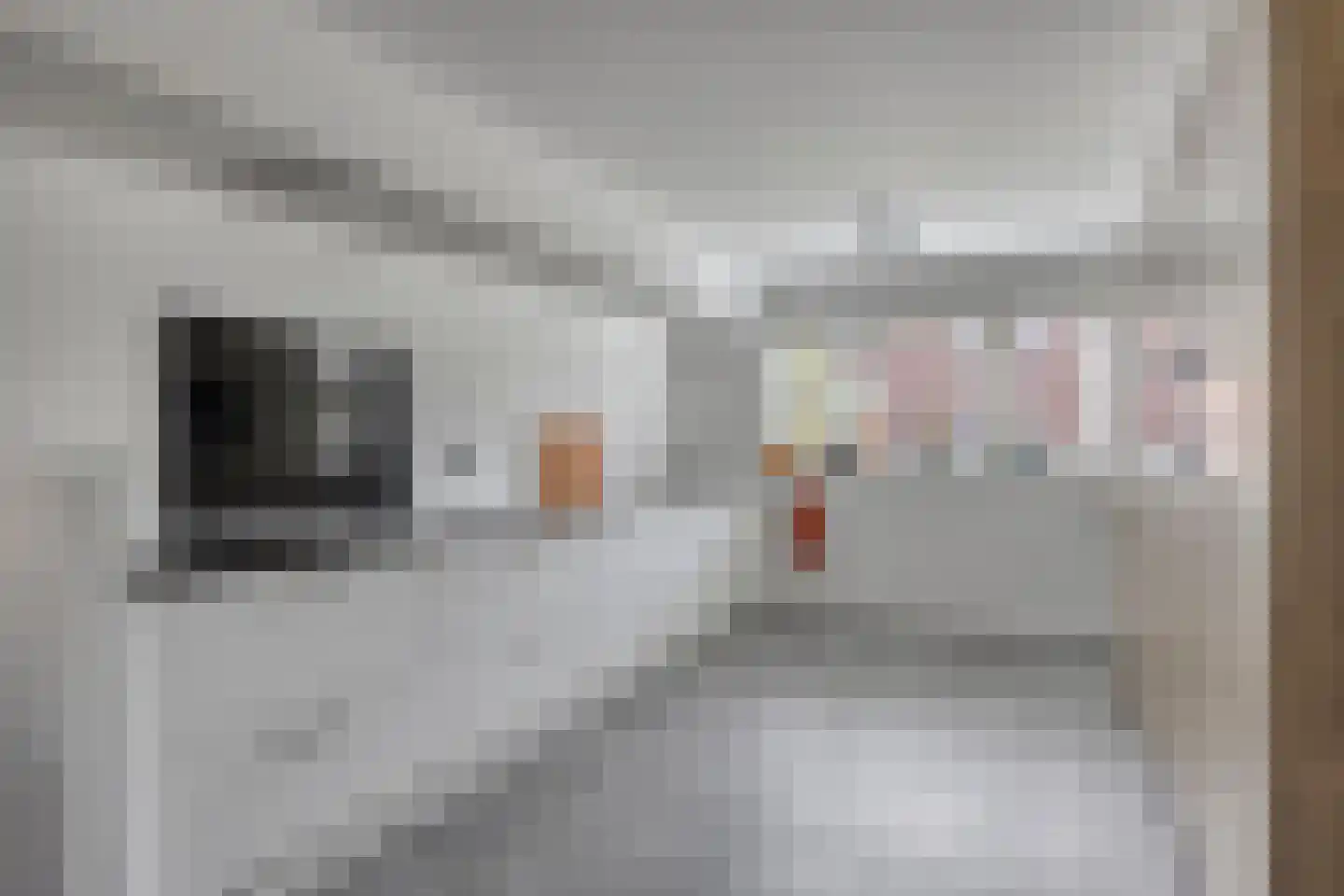 Kleinmansbeek 4 Barneveld thumbnail 14