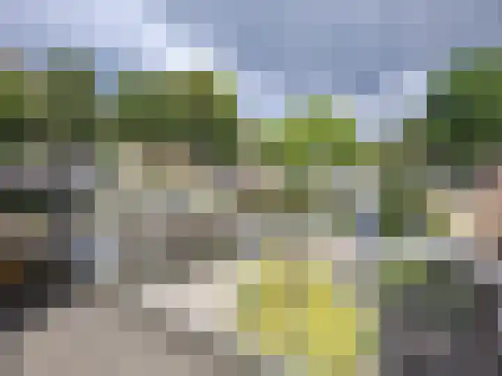 Kleinpolderkade 9 Rotterdam thumbnail 13