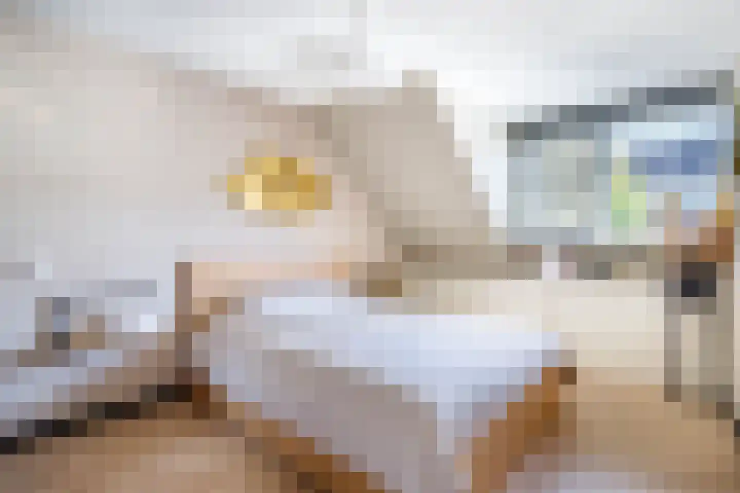 Kleinpolderlaan 31 Nieuwerkerk aan den IJssel thumbnail 21
