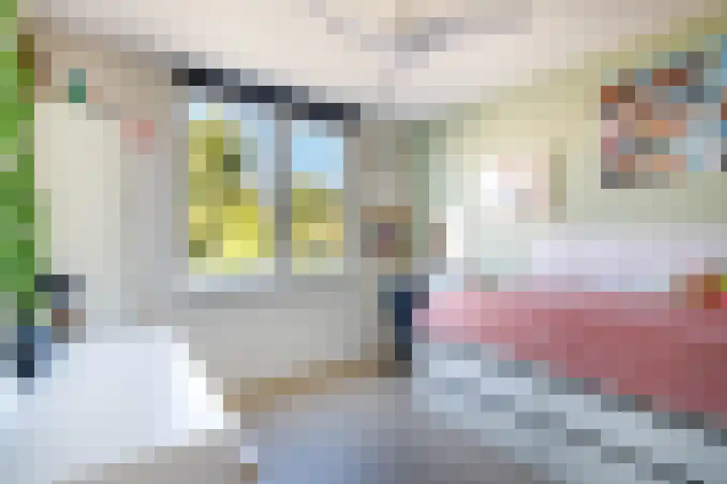 Kleinpolderlaan 31 Nieuwerkerk aan den IJssel thumbnail 23