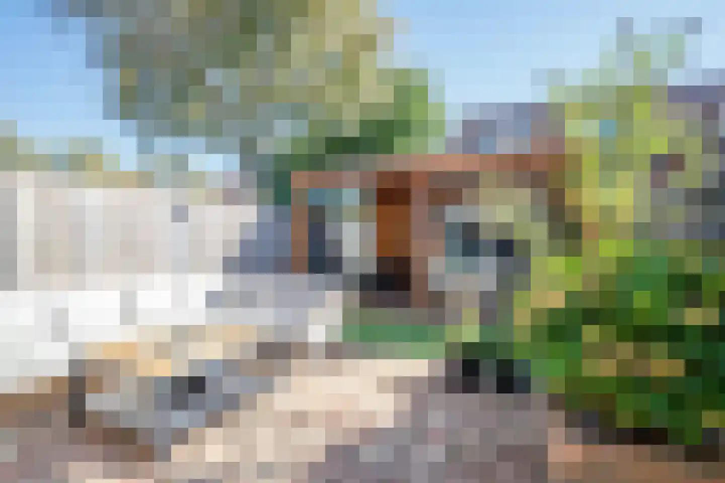 Kleinpolderlaan 31 Nieuwerkerk aan den IJssel thumbnail 34