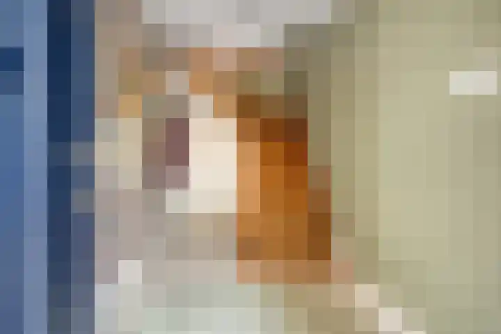 Kleinstraat 12 Berg en Terblijt thumbnail 22