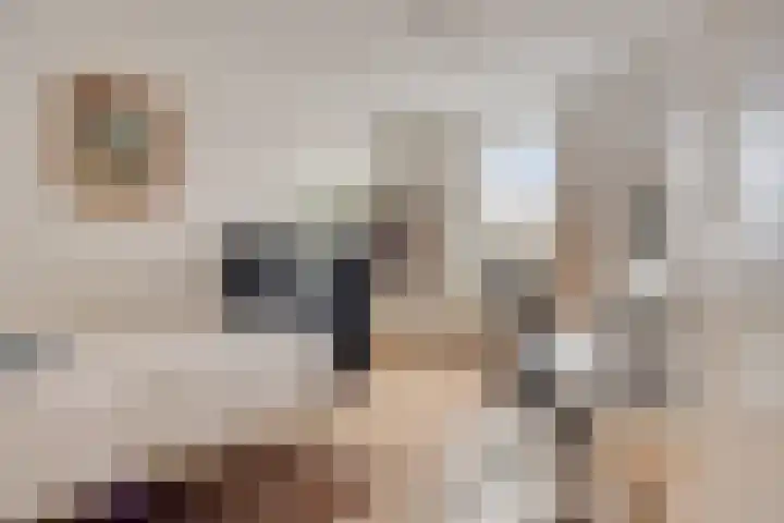 Kleinstraat 12 Berg en Terblijt thumbnail 29