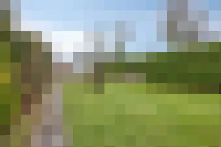 Kleinstraat 12 Berg en Terblijt thumbnail 51