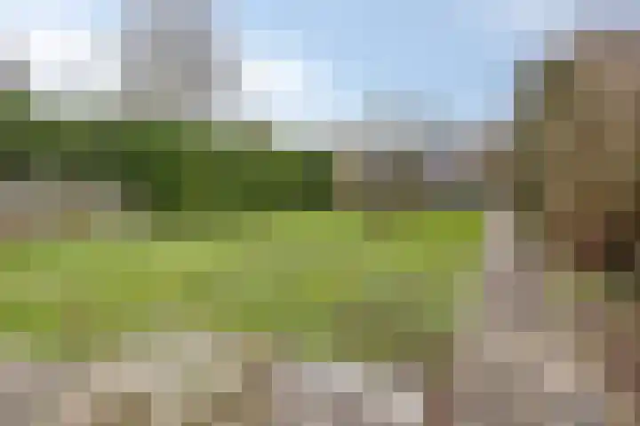Kleinstraat 12 Berg en Terblijt thumbnail 52