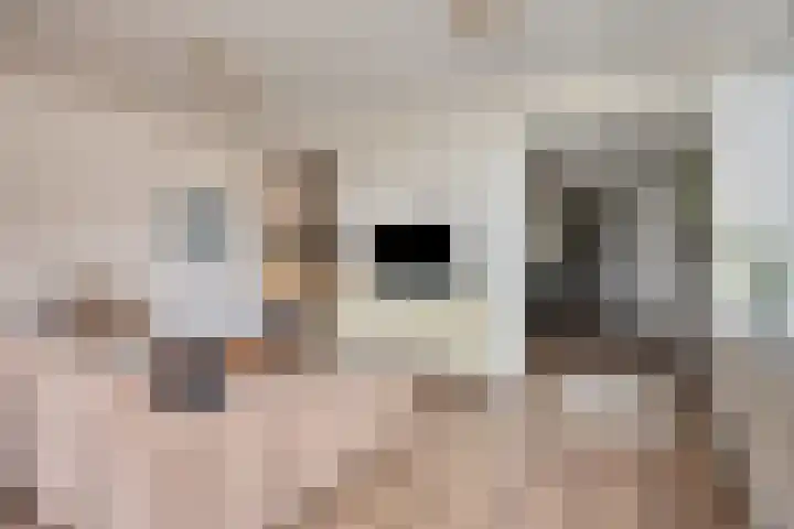 Kleinstraat 12 Berg en Terblijt thumbnail 8