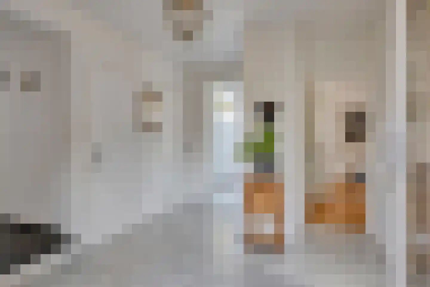 Kleinstraat 23 Berg en Terblijt thumbnail 11