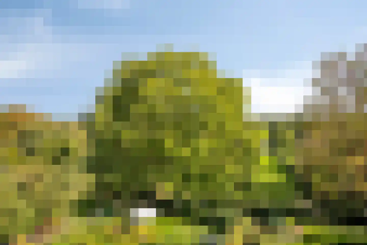 Kleinstraat 23 Berg en Terblijt thumbnail 32