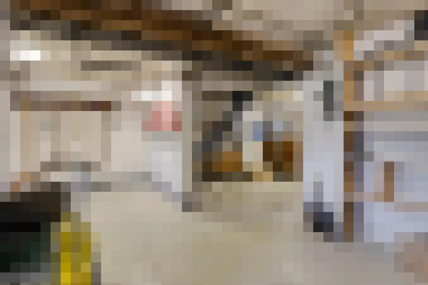 Kleinstraat 23 Berg en Terblijt thumbnail 46