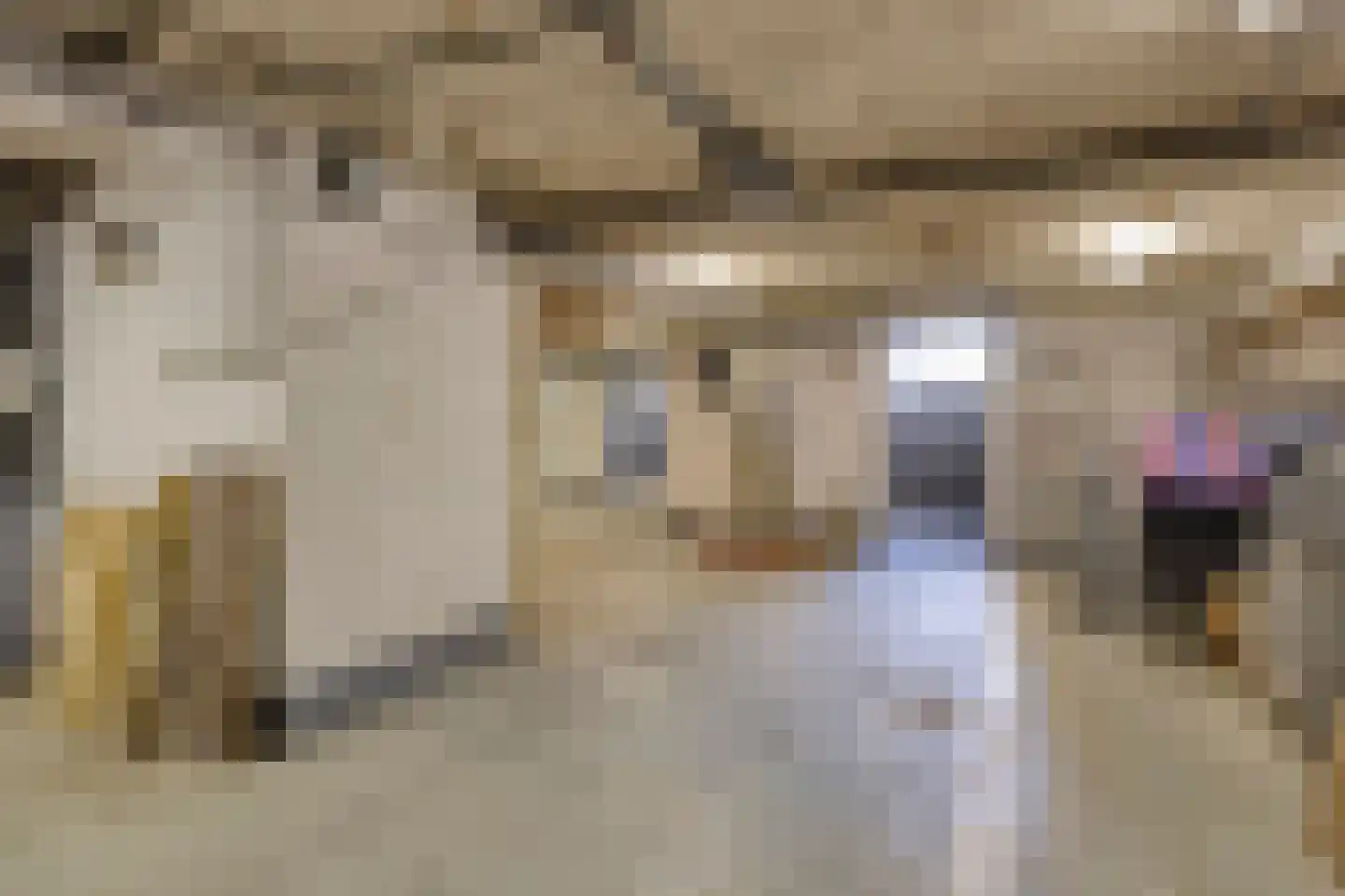Kleinstraat 23 Berg en Terblijt thumbnail 50