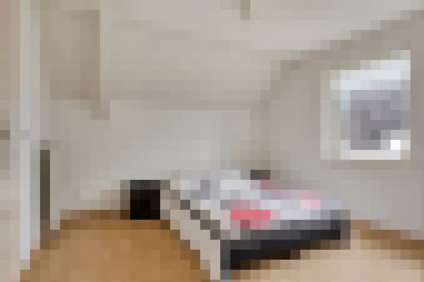 Kleinveld 1 Boekel thumbnail 22