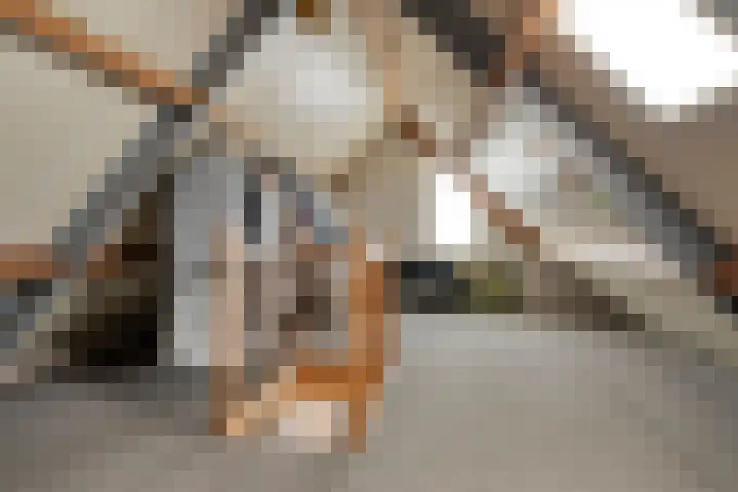Kleinveld 1 Boekel thumbnail 26