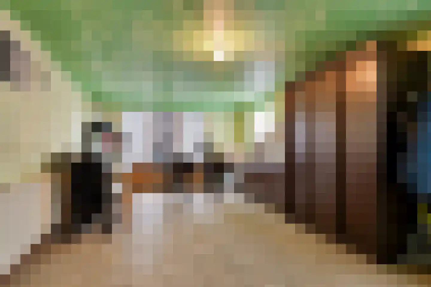 Kleinveld 1 Boekel thumbnail 27