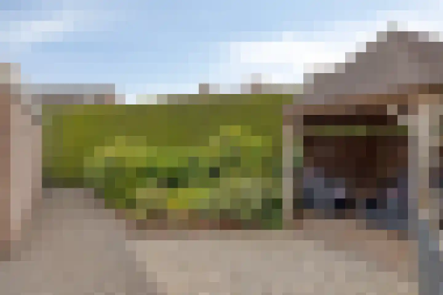 Kleinveld 1 Boekel thumbnail 31