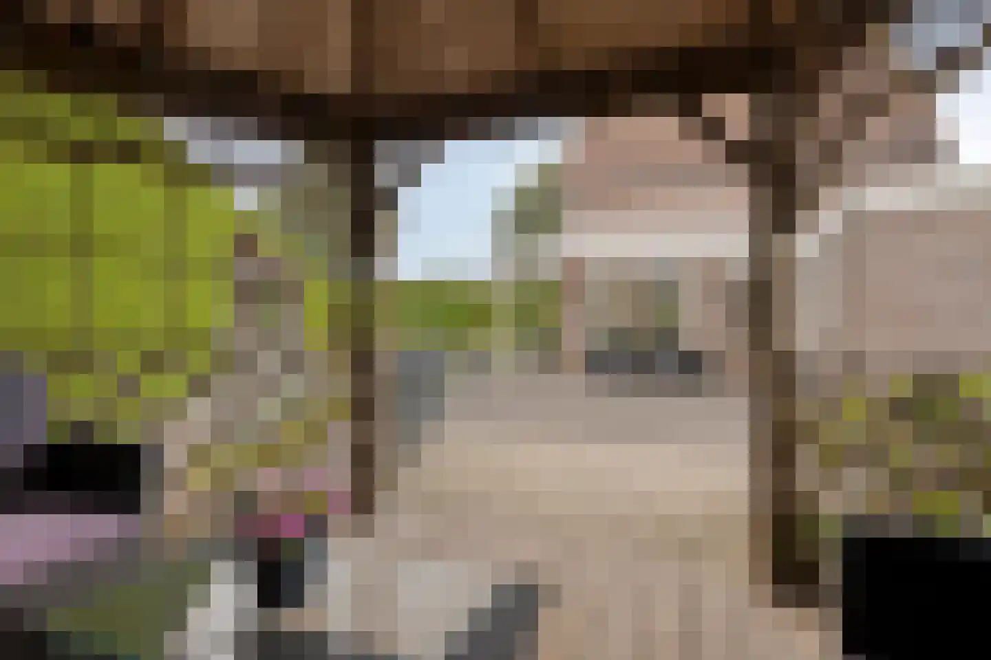 Kleinveld 1 Boekel thumbnail 32