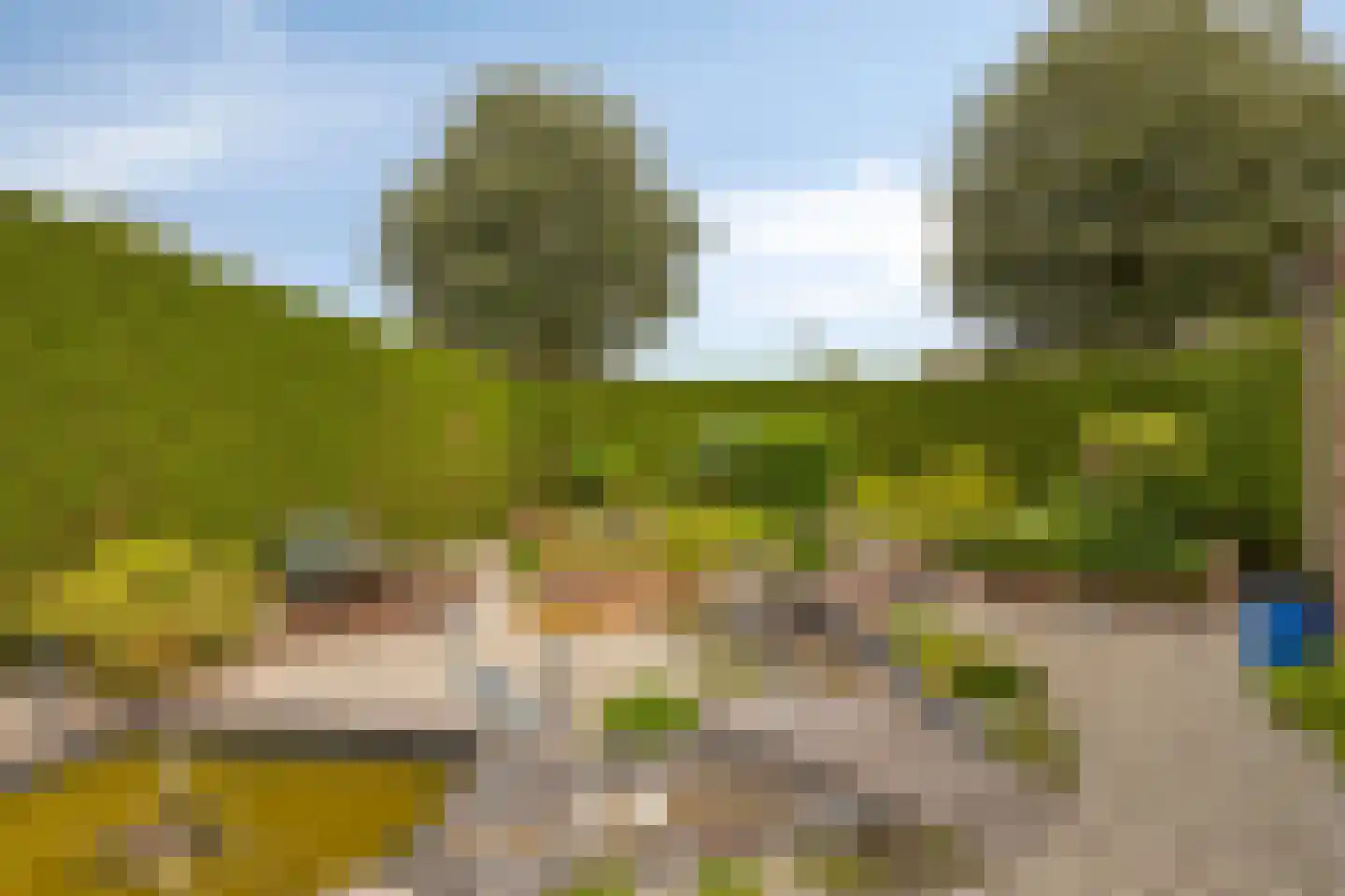 Kleinveld 1 Boekel thumbnail 33
