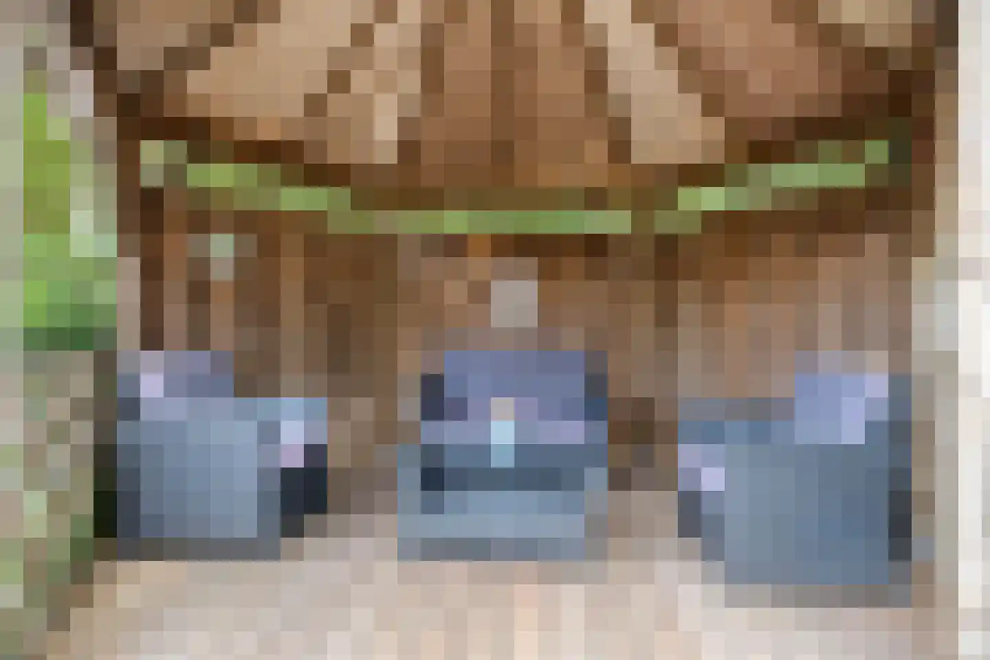 Kleinveld 1 Boekel thumbnail 35