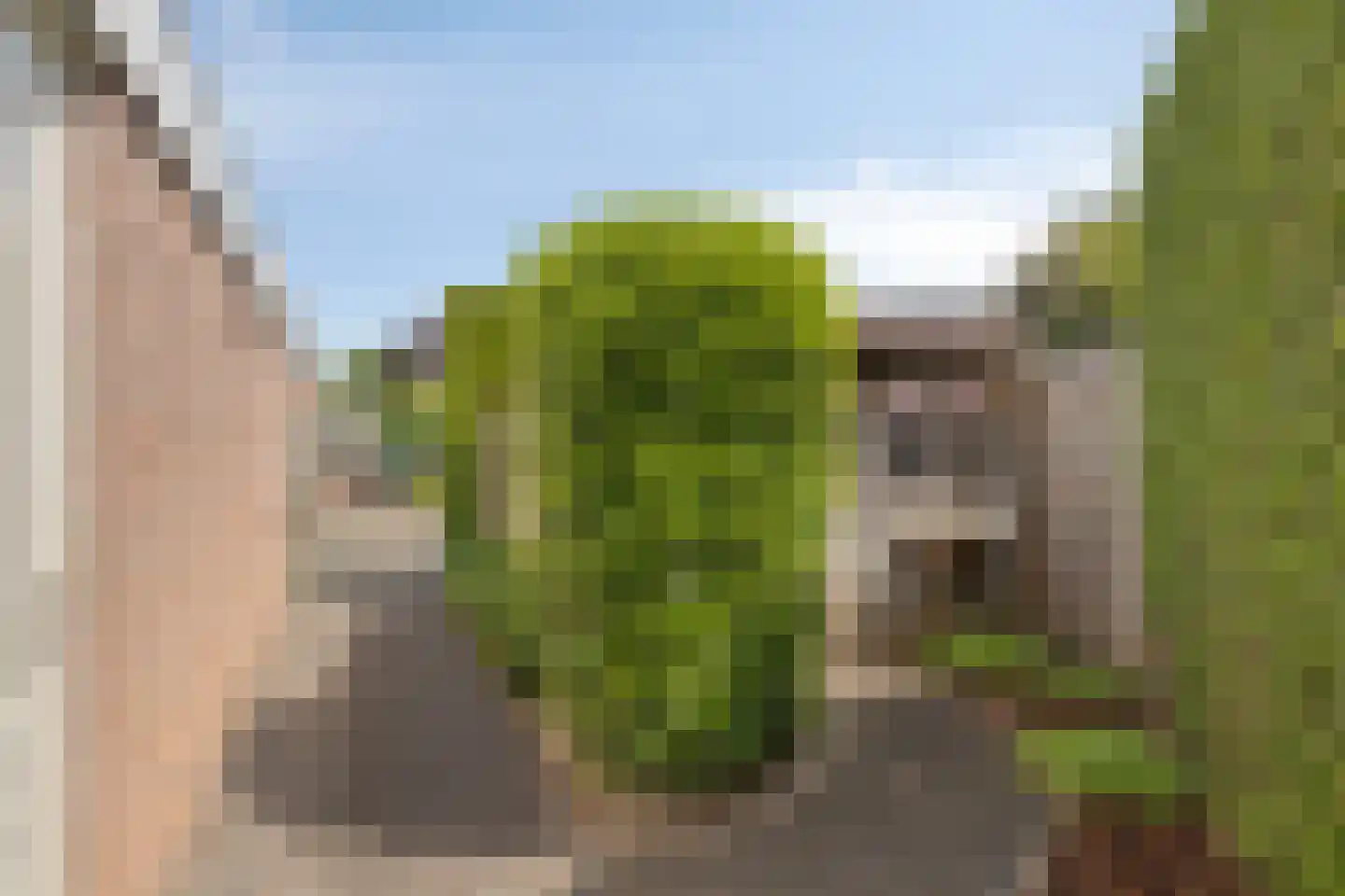 Kleinveld 1 Boekel thumbnail 36