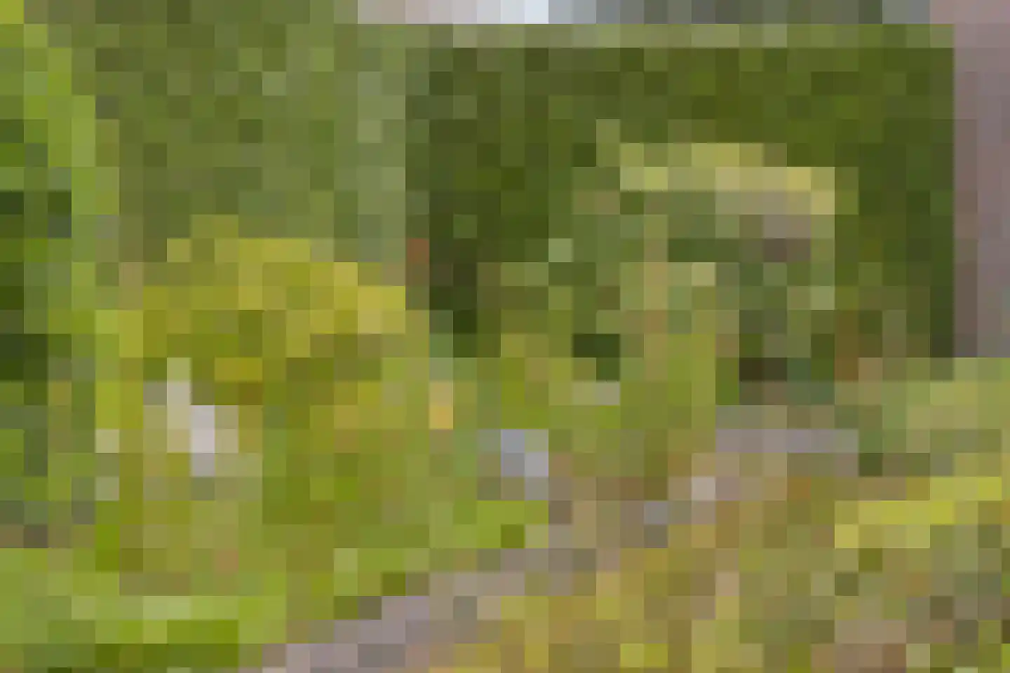 Kleinveld 1 Boekel thumbnail 37