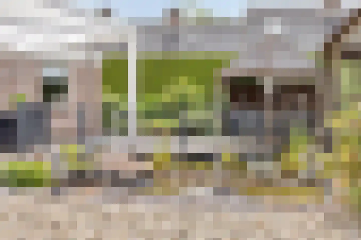 Kleinveld 1 Boekel thumbnail 38