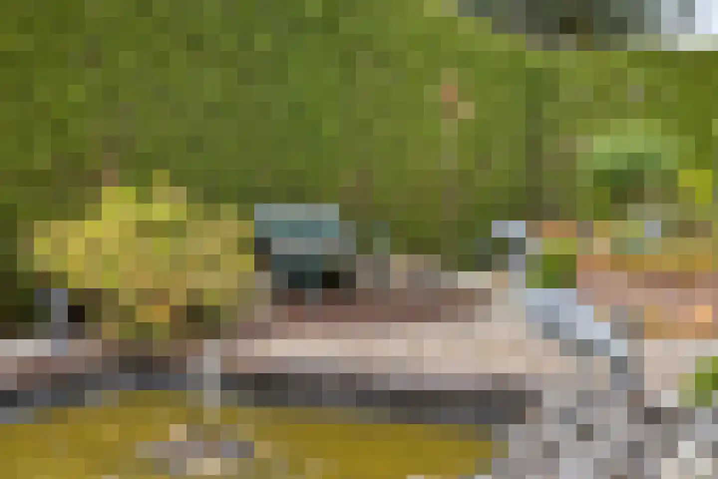 Kleinveld 1 Boekel thumbnail 39