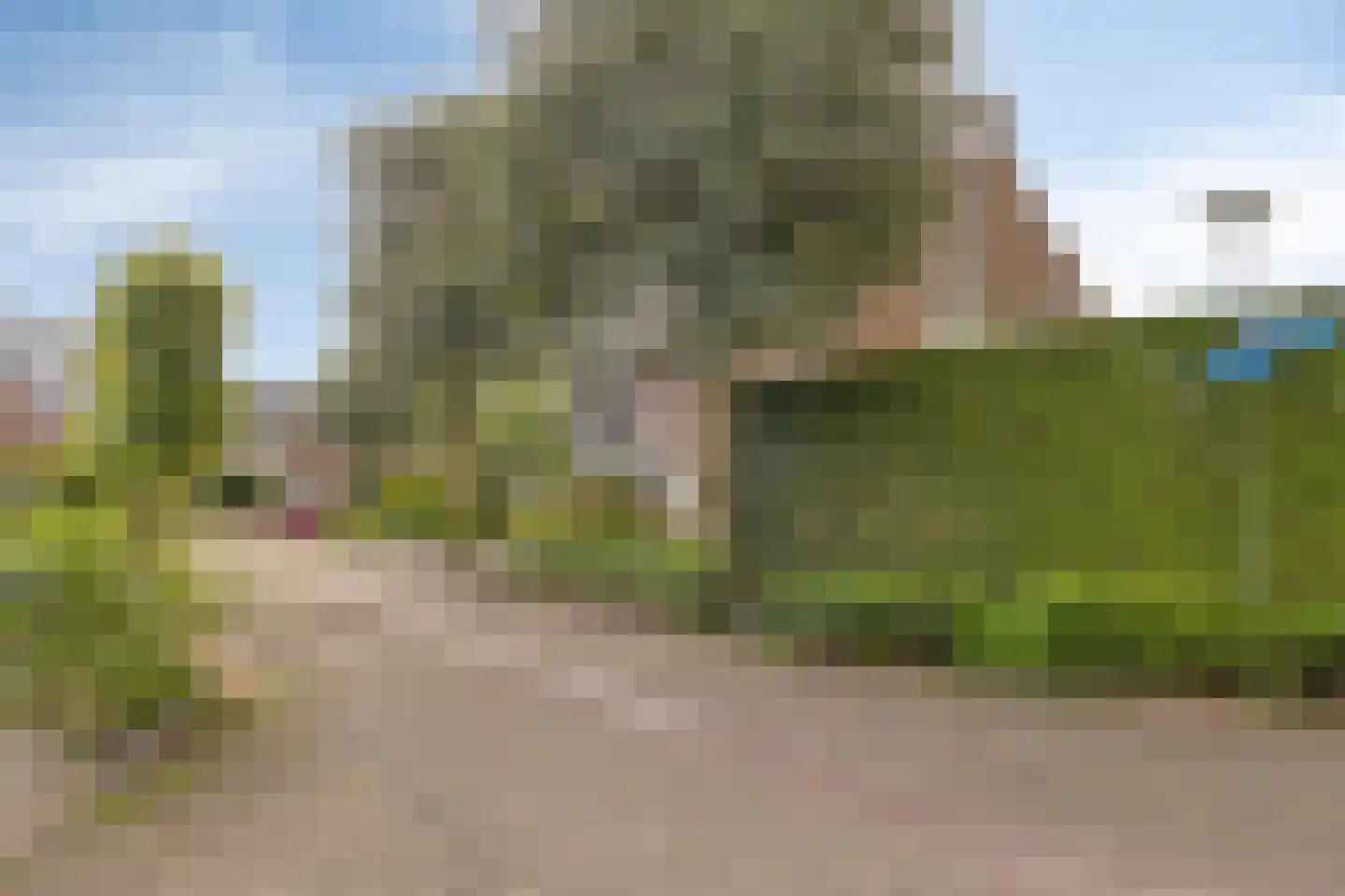 Kleinveld 1 Boekel thumbnail 43