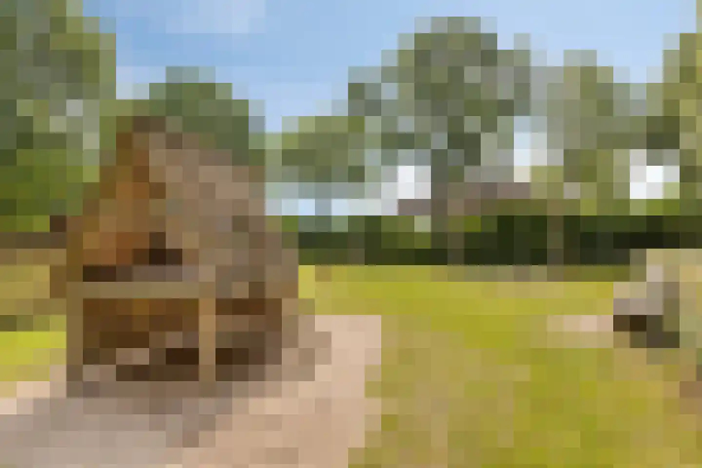 Kleinveld 1 Boekel thumbnail 44