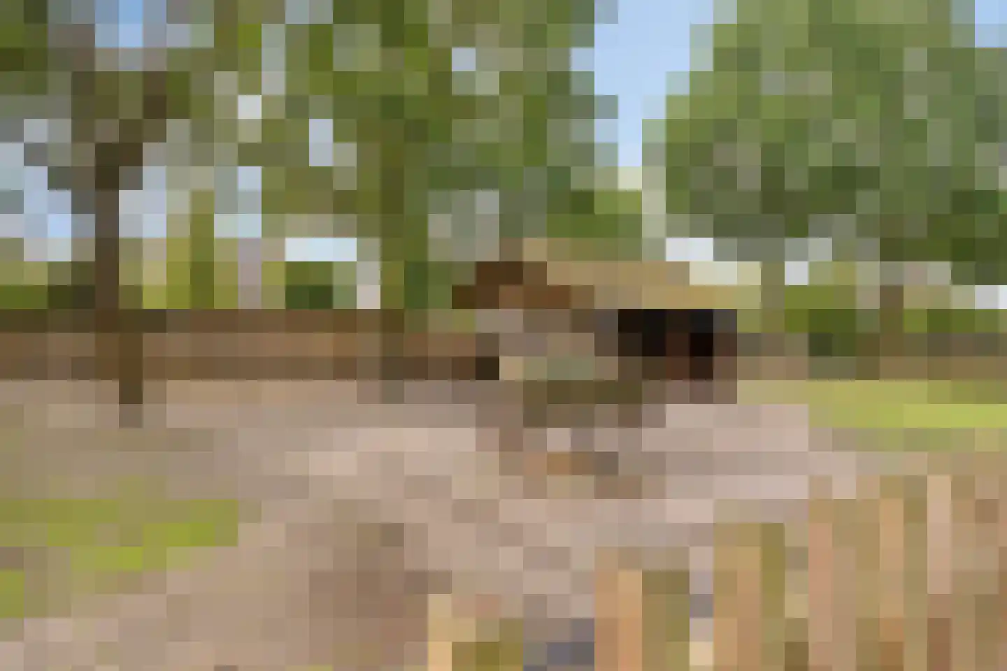 Kleinveld 1 Boekel thumbnail 45