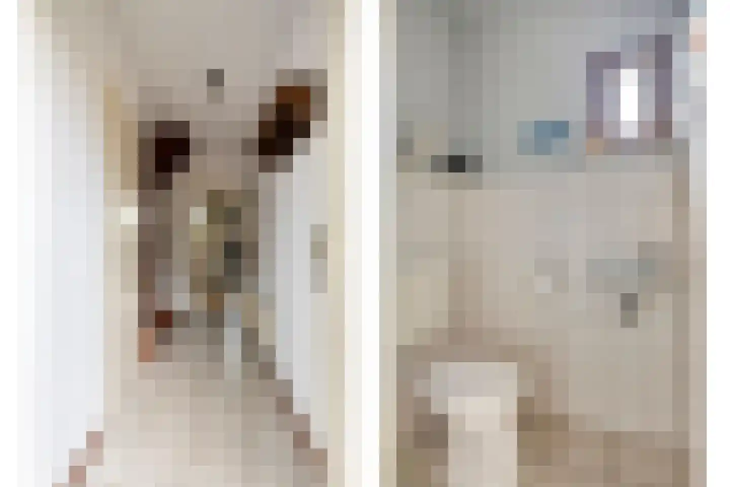 Kleinveld 1 Boekel thumbnail 5