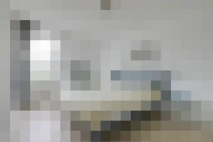 Kleipeer 7 Duiven thumbnail 25