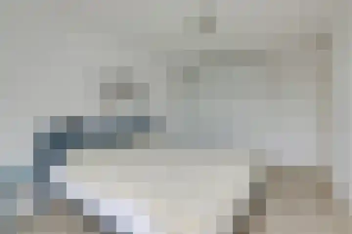 Kleipeer 7 Duiven thumbnail 26