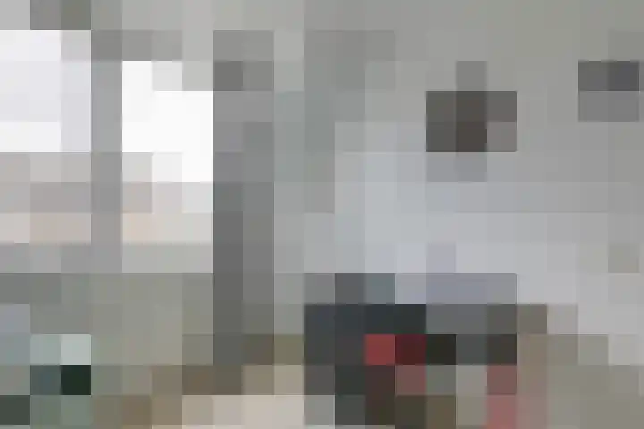 Kleipeer 7 Duiven thumbnail 28