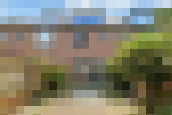 Kleipeer 7 Duiven thumbnail 36
