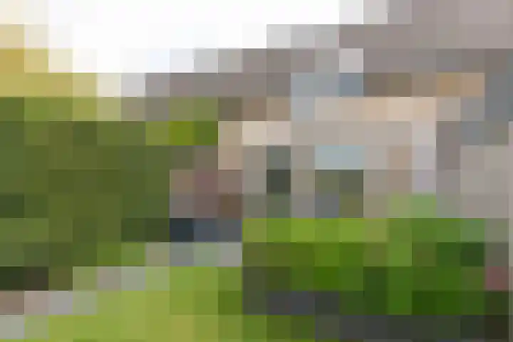 Kleipeer 7 Duiven thumbnail 40