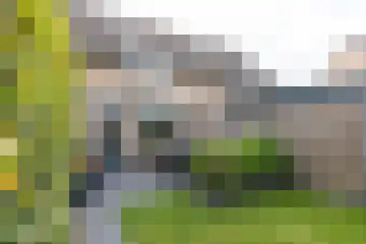 Kleipeer 7 Duiven thumbnail 41