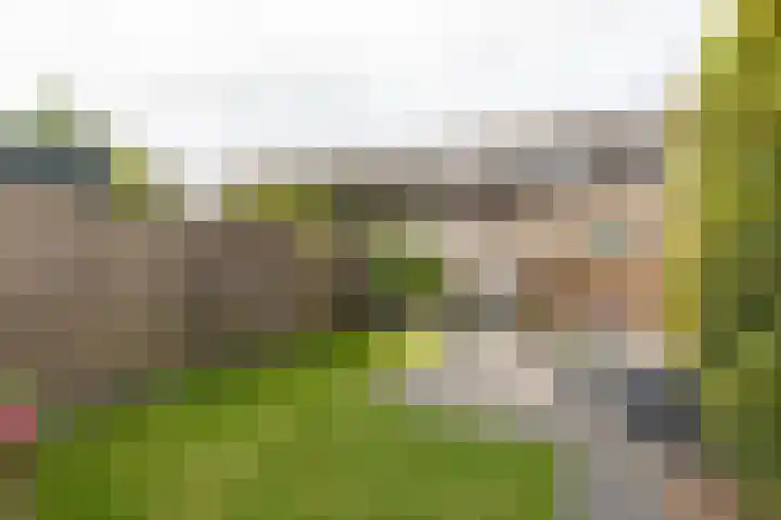 Kleipeer 7 Duiven thumbnail 45
