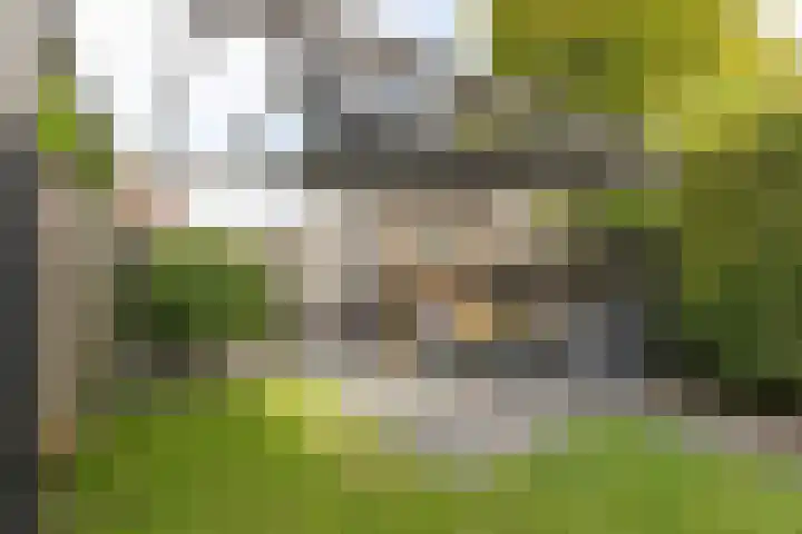 Kleipeer 7 Duiven thumbnail 46
