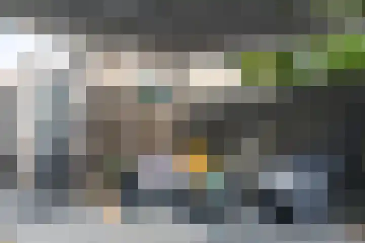 Kleipeer 7 Duiven thumbnail 47
